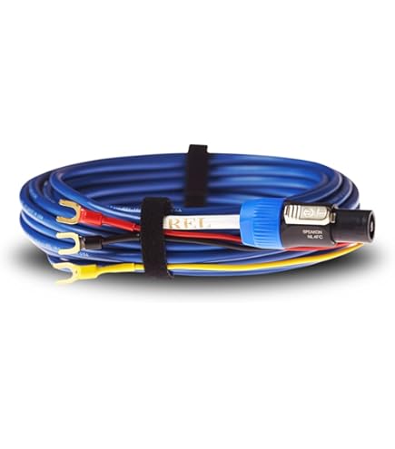 Amazon.com: QED Performance Subwoofer Cable 3M : Electronics